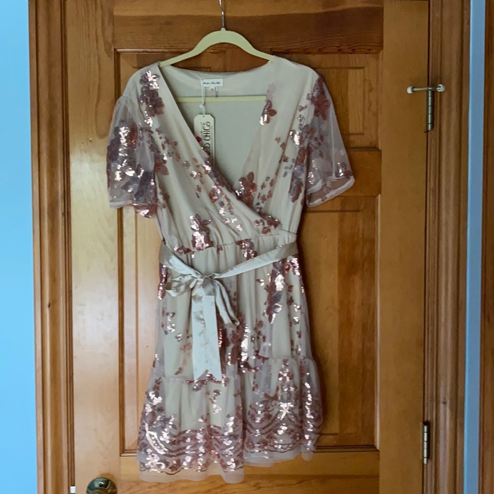 Catching Compliments Rose Gold Dress - XXL